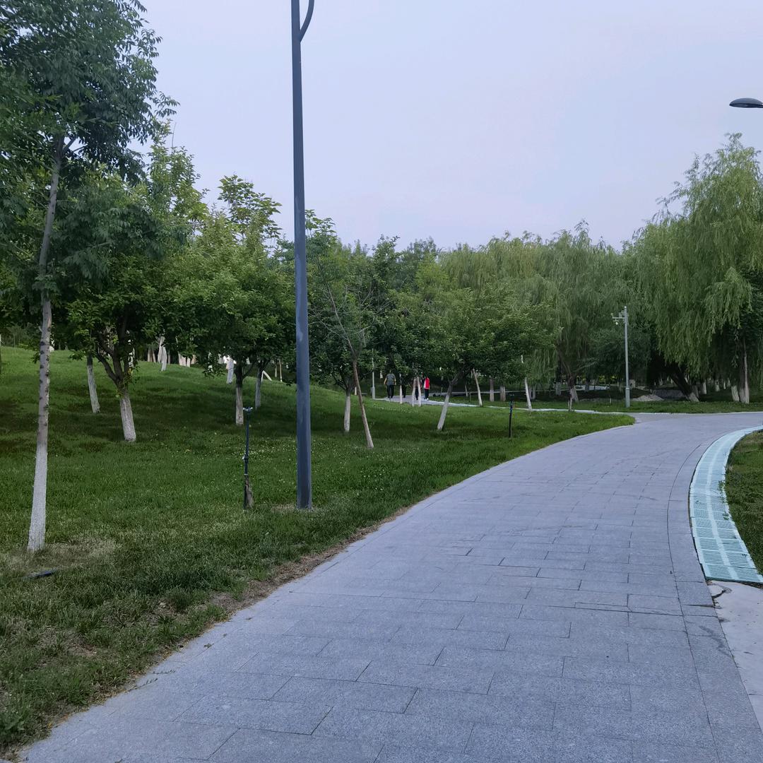 来新疆的装修工刘兴伟