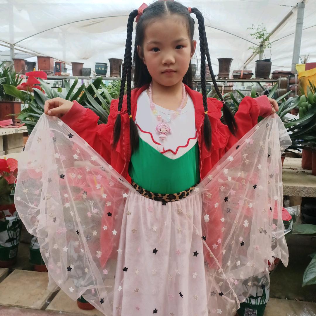 兴旺双页饼     （  不定时开播