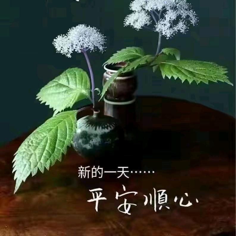 大宋比特小号
