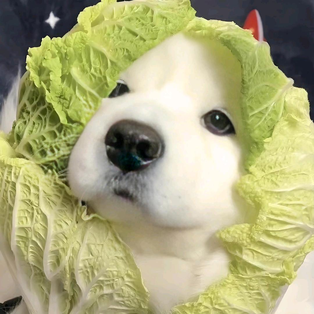 秃子（燕云十六声）