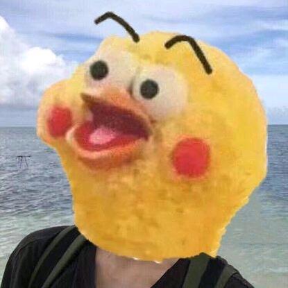 步鸽