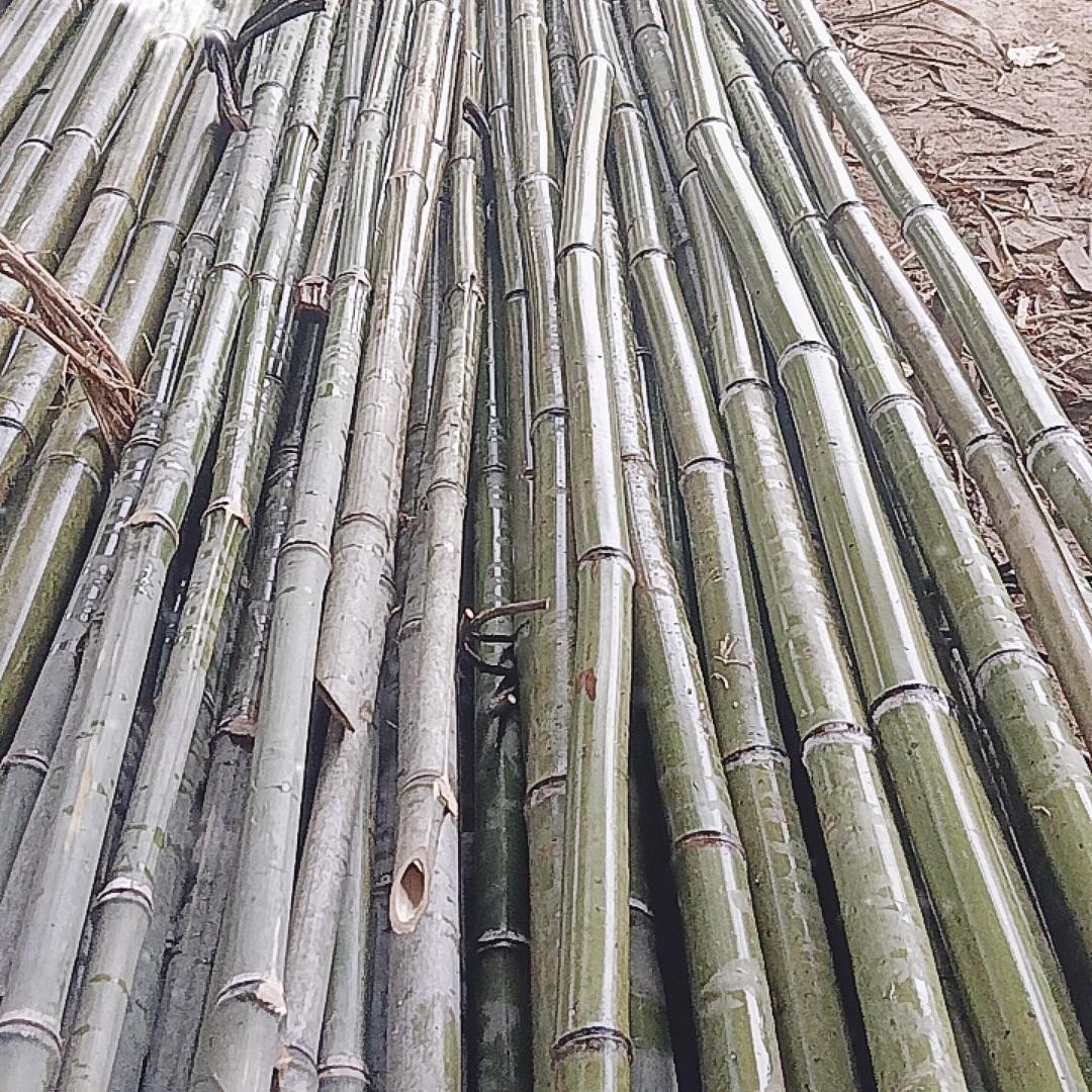 圆竹果撑，厂直销，长度可定制