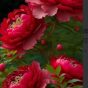 王阿姨