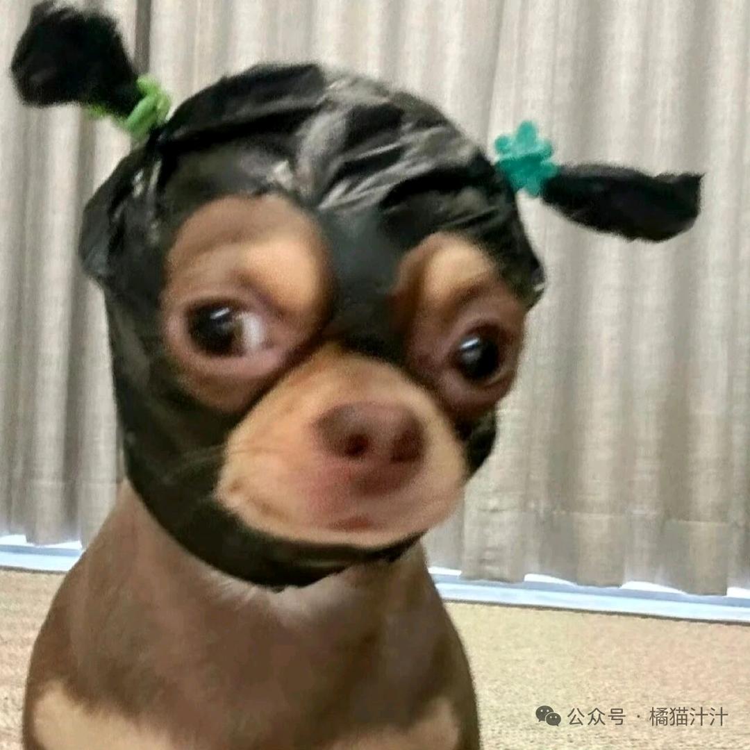废品回收老李