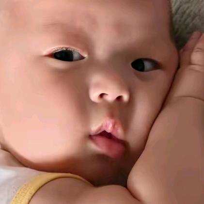 孟崽的九九