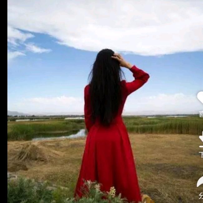 向阳花