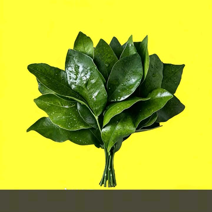 六月