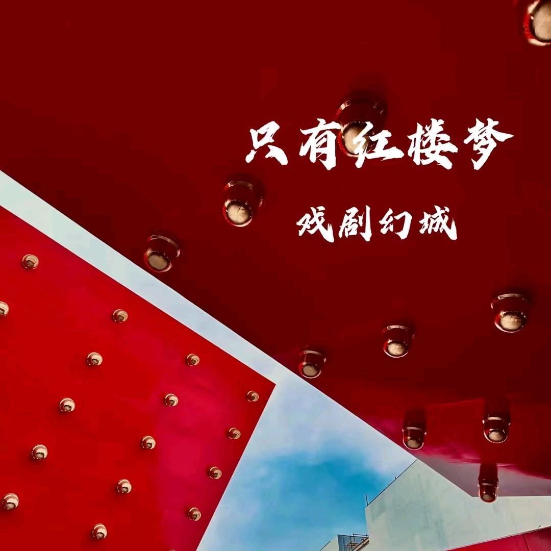 只有红楼梦研学