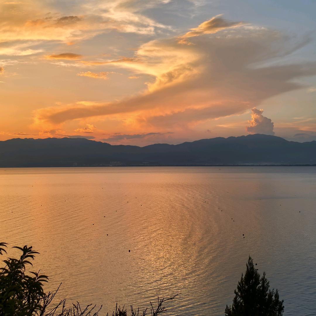 了却君王天下事