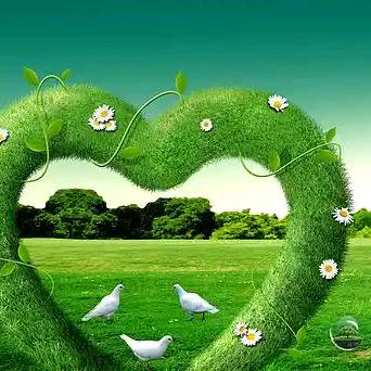 🌱依依不舍🌱