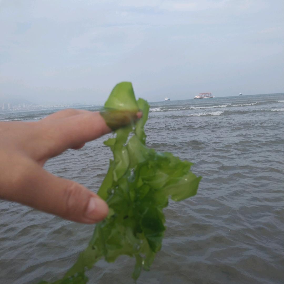 冰之海，蓝色的梦( ﹡ˆoˆ﹡ )( ﹡