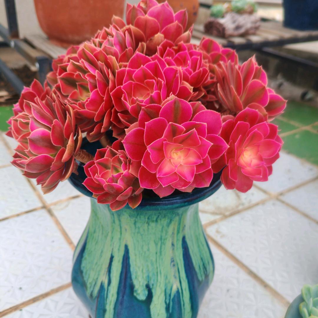 芳贤