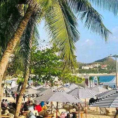 手握 ˶ˊᜊˋ˶风云