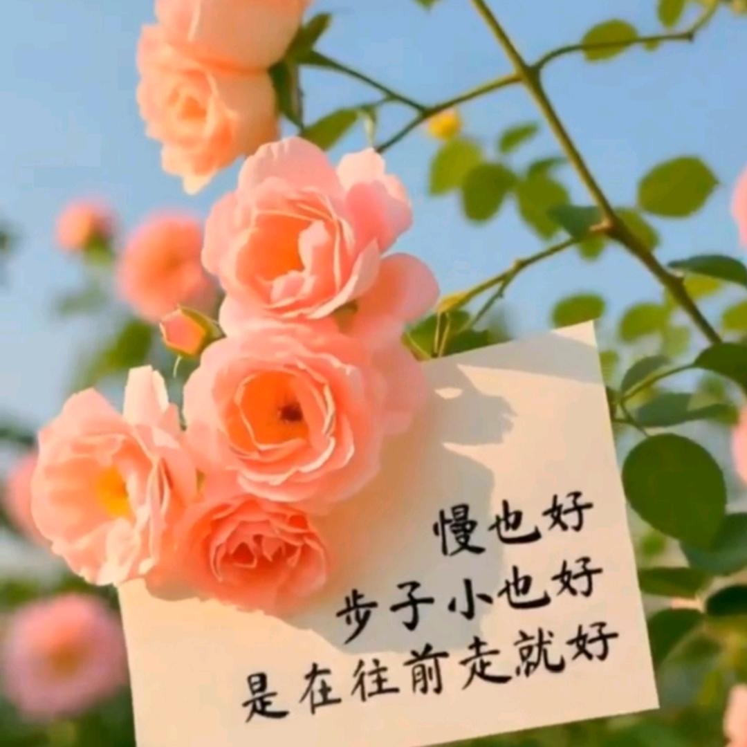 💞ঞᩚ᭄越来越好💕