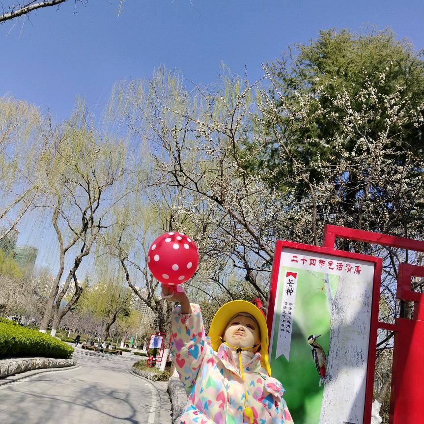 小初在努力