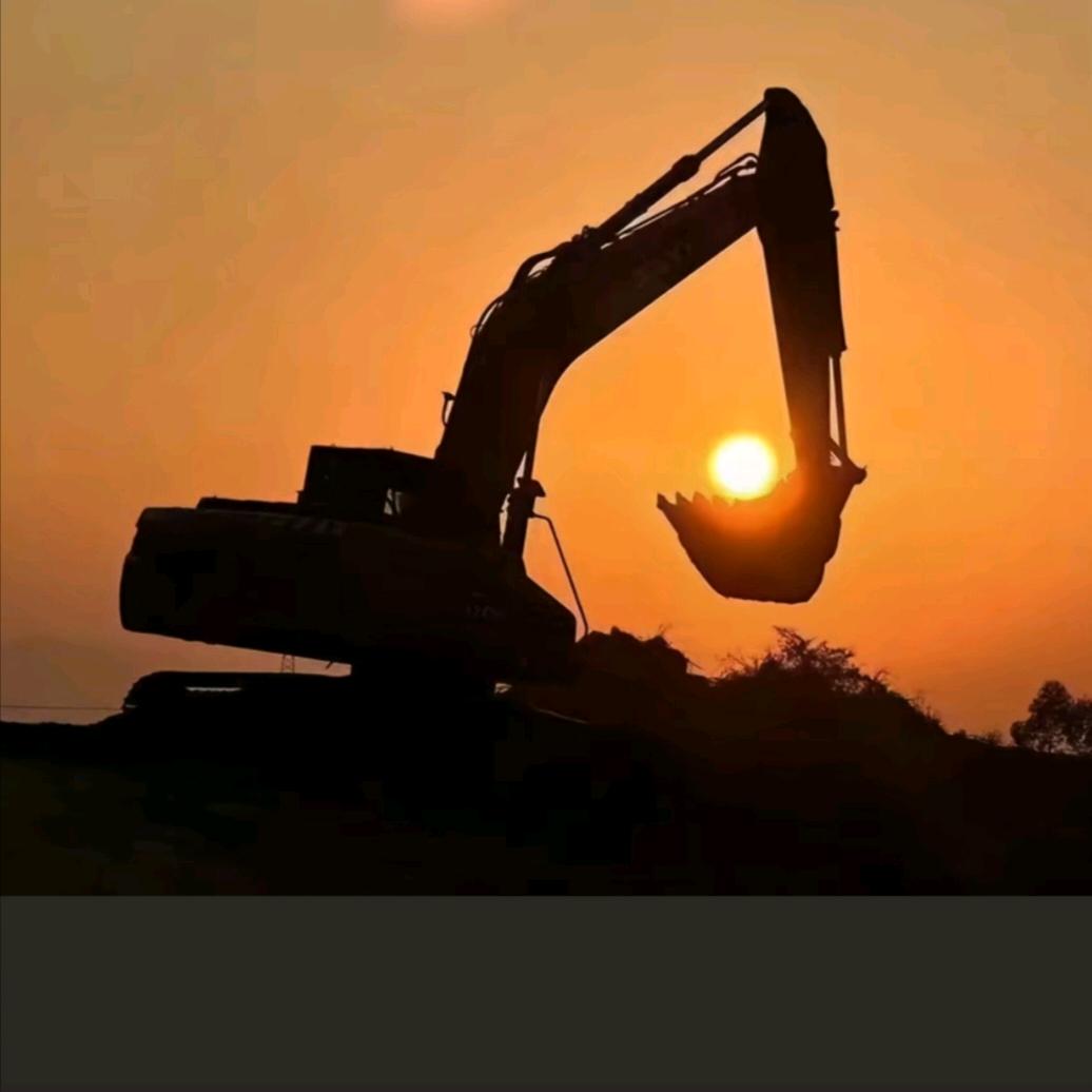 皇