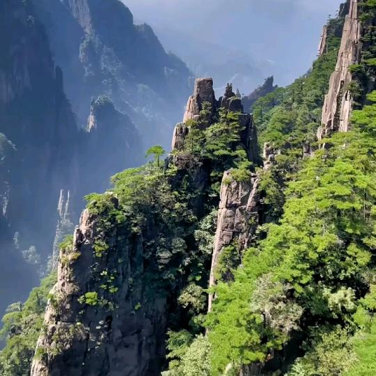 🌈顺其自然，🌈🐮