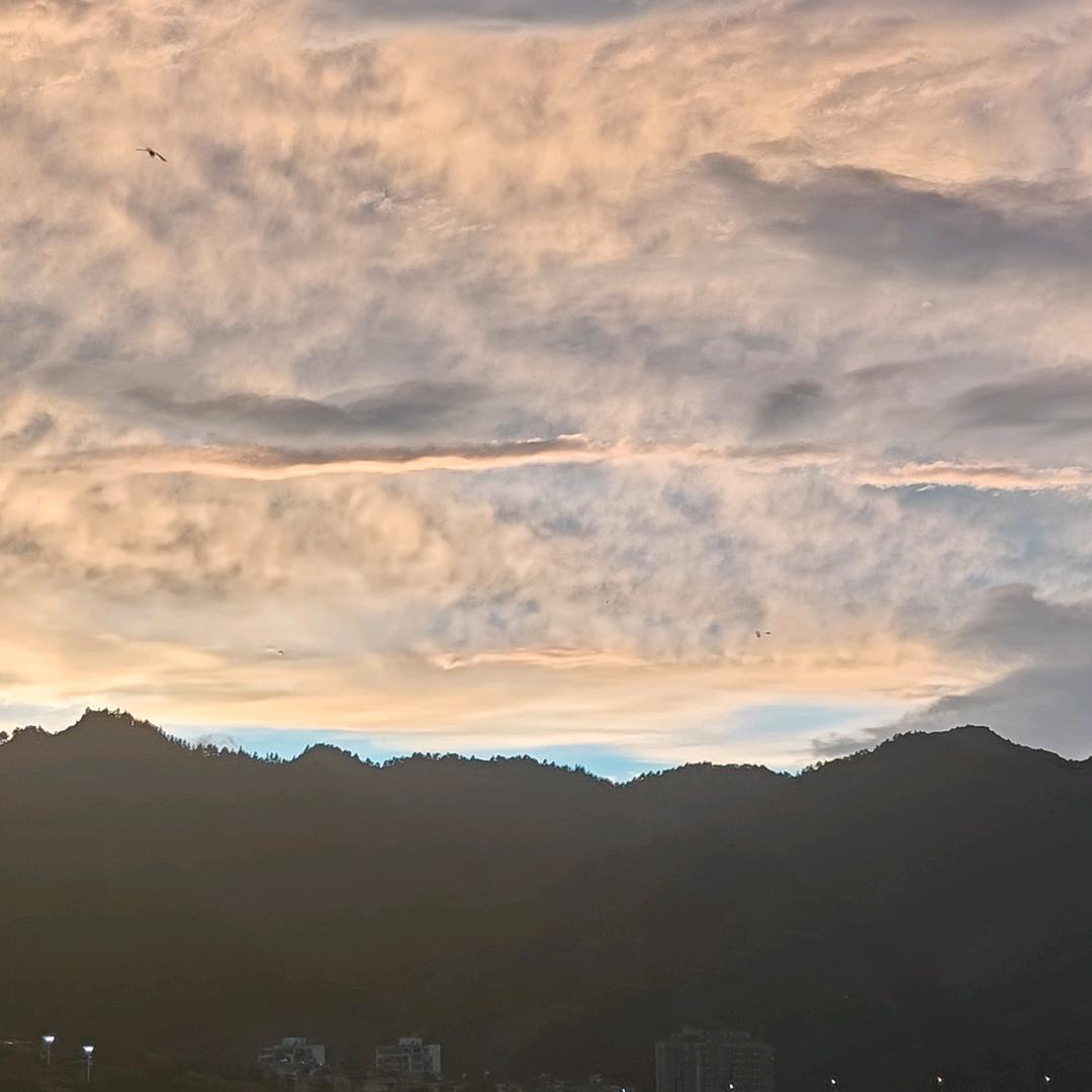 我不懂