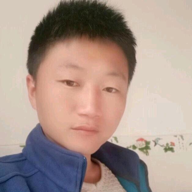 猫头鹰