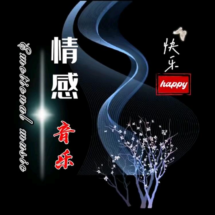 快乐情感音乐（车载优盘）