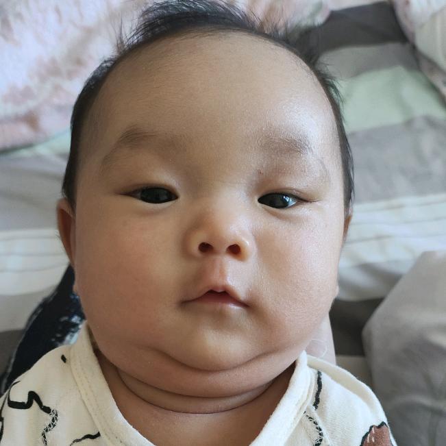 小琪琪成长记