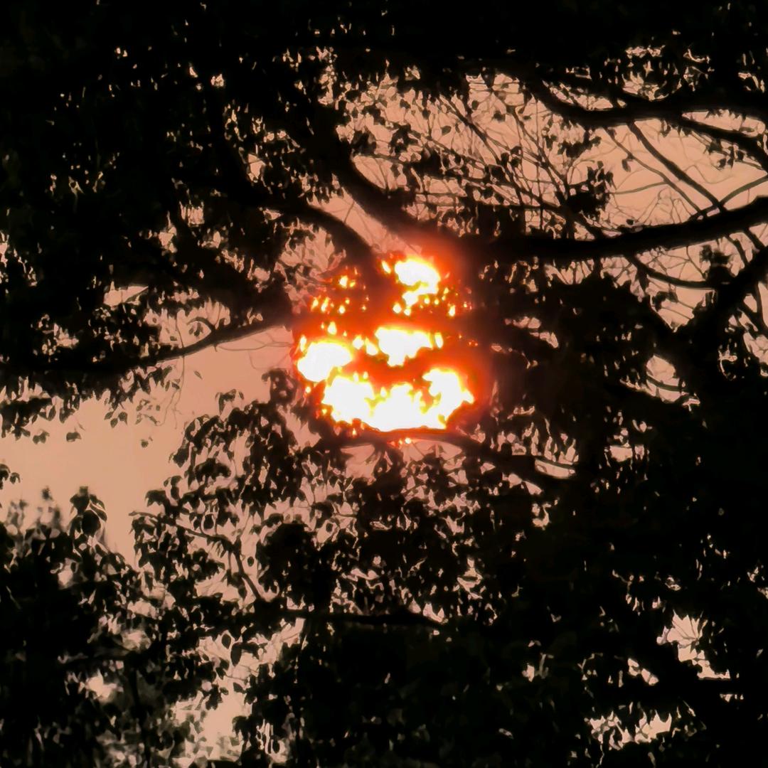 发财大厅（紫俞轩）