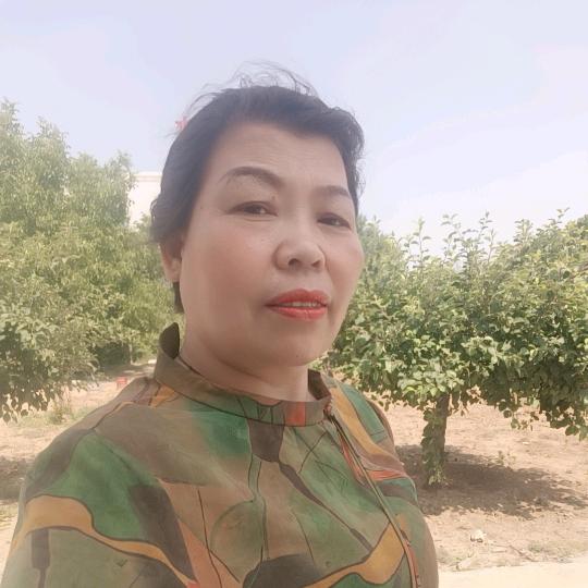 书拉密女