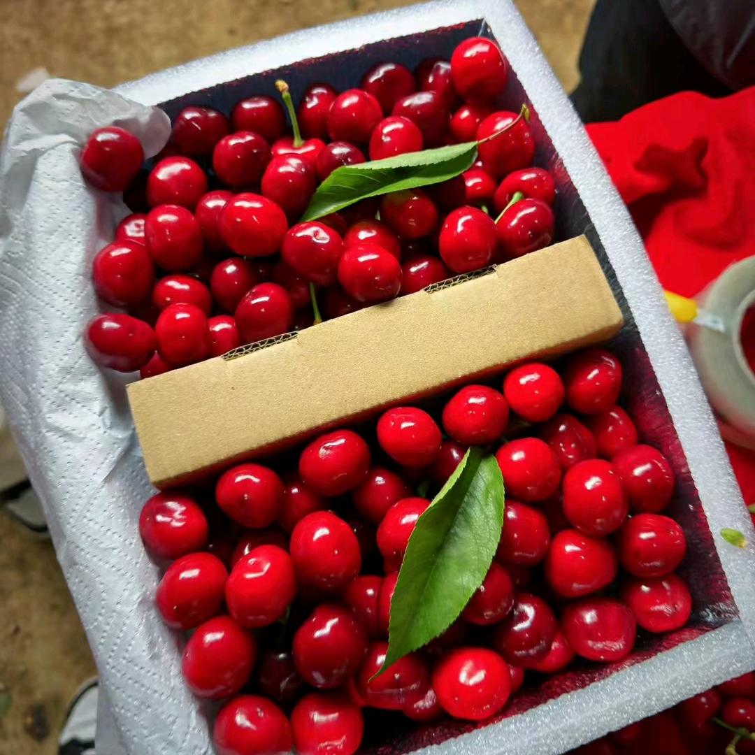 禾果小镇甘肃淘绿源电子商务有限公司蔬菜制品专卖店