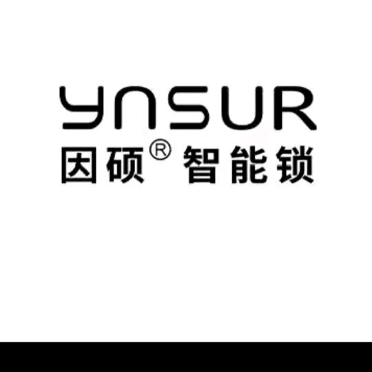 因硕智能锁永州市授权总代