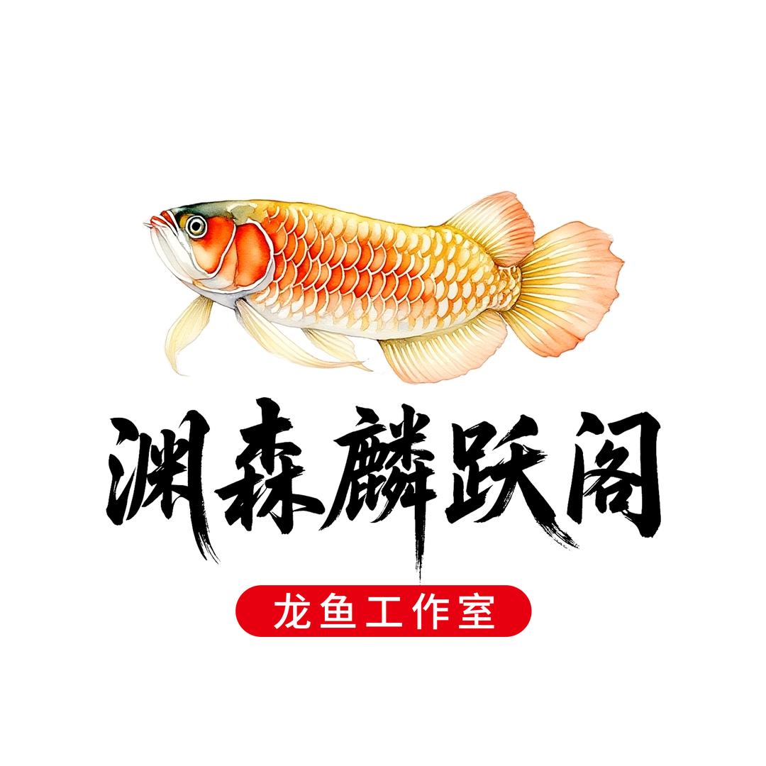 渊森麟跃阁☞龙鱼工作室