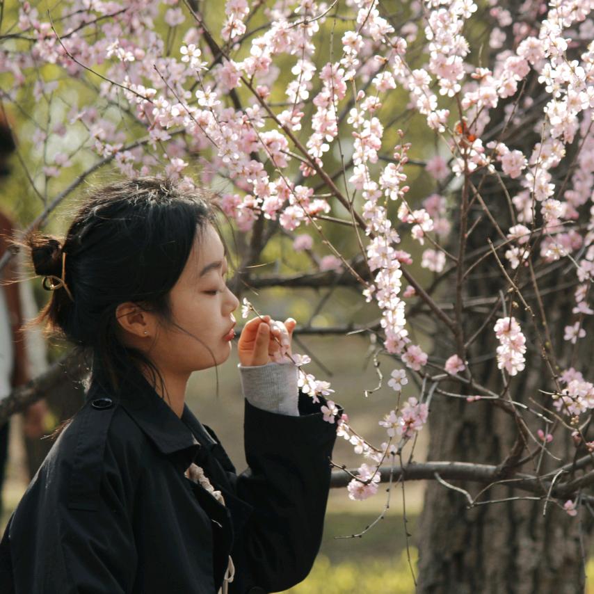 马小跳的六经奇遇记