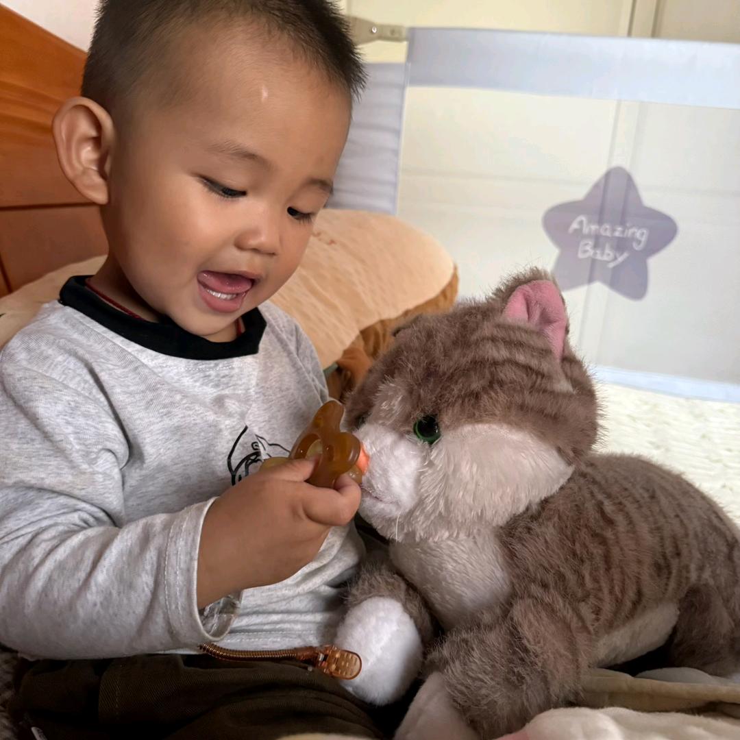 织金县小垚挖机夹木机出租