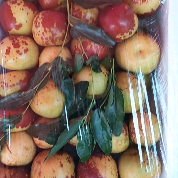 冬枣采摘园当天发