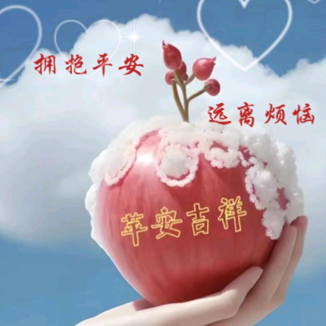 看淡人心🖤爱护自己🍎