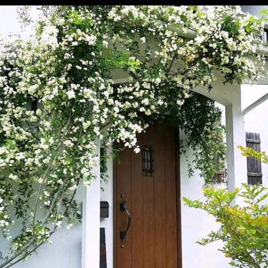 非同凡响 （＾ω＾）