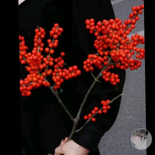 静心❤️