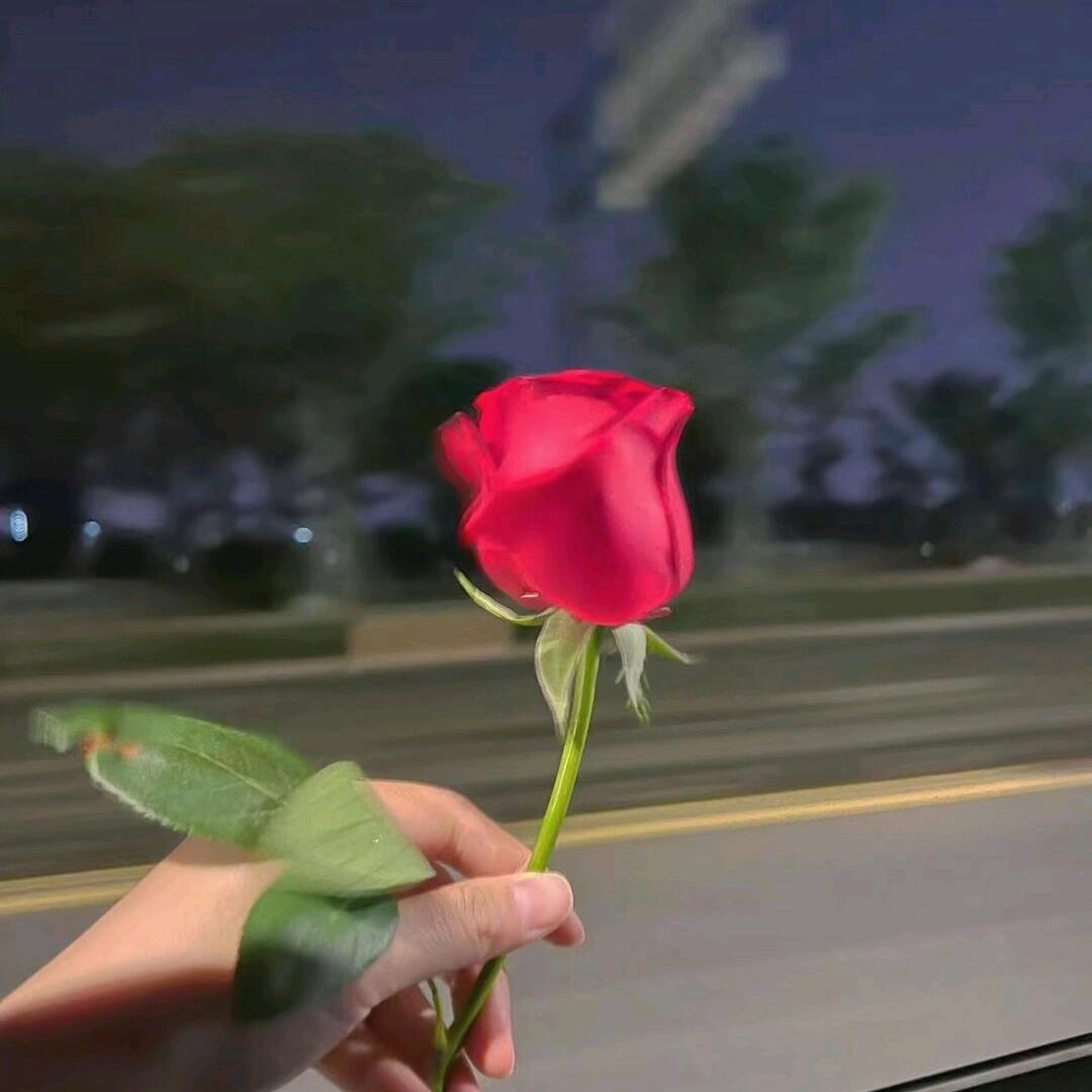 歪歪