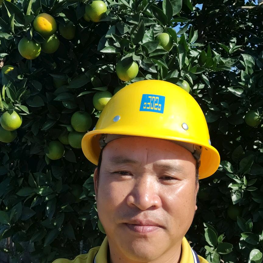 伙哥