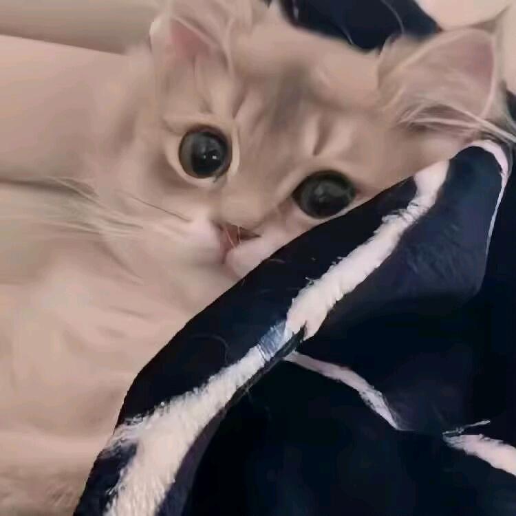 哭了（伤感视频）