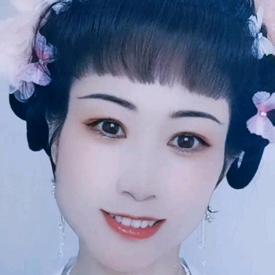 雁南飞
