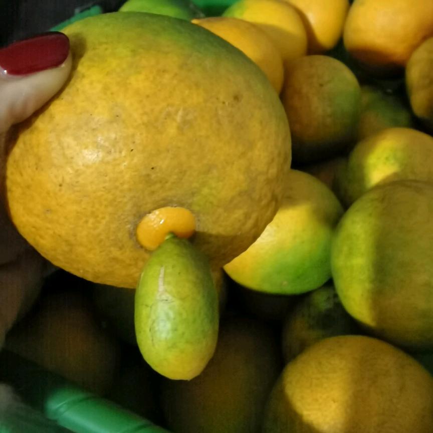 平平不凡也不淡