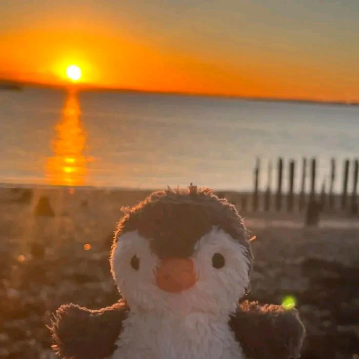 软木木木木木木