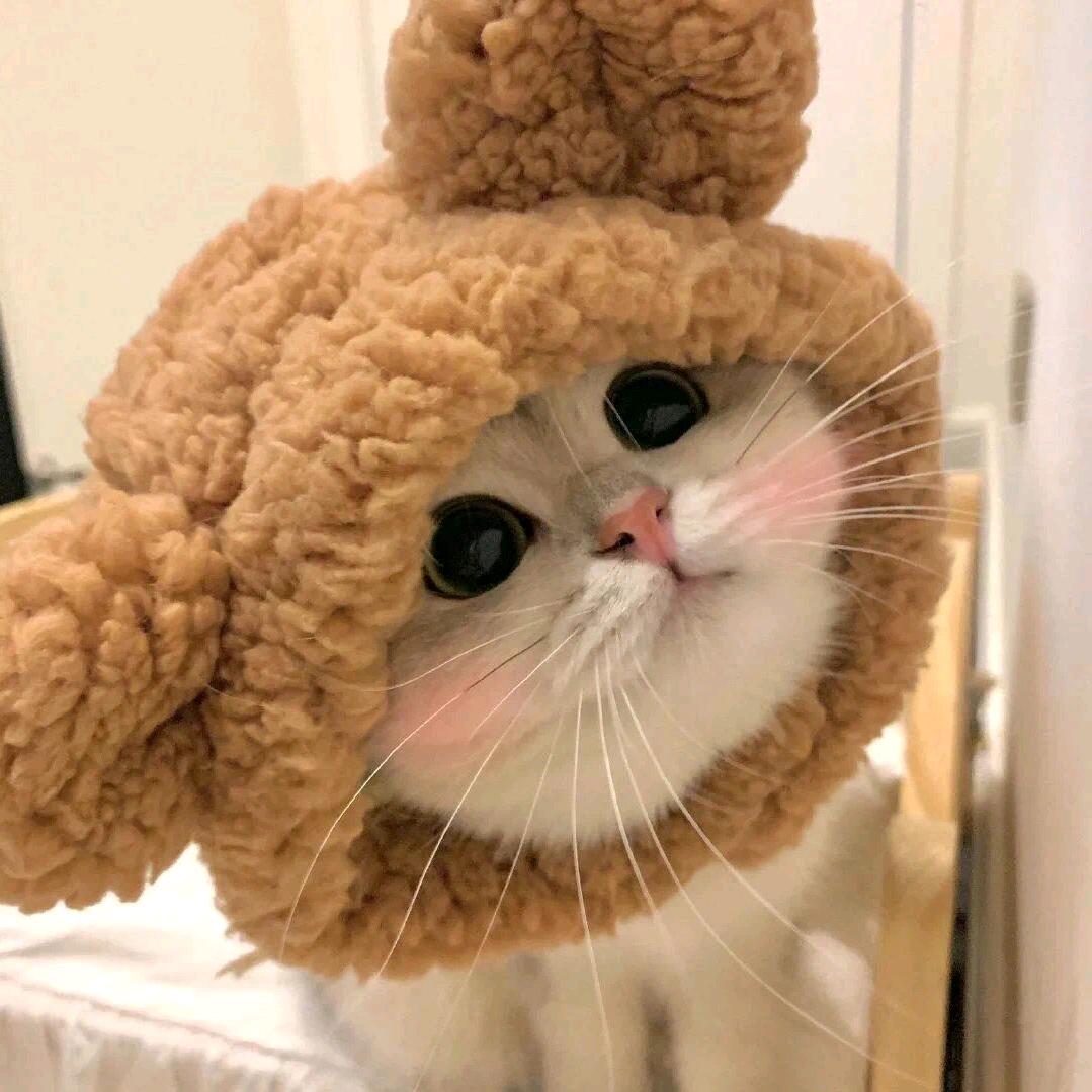 ღ᭄ꦿ꯭დ🐑93ღ᭄ꦿ꯭