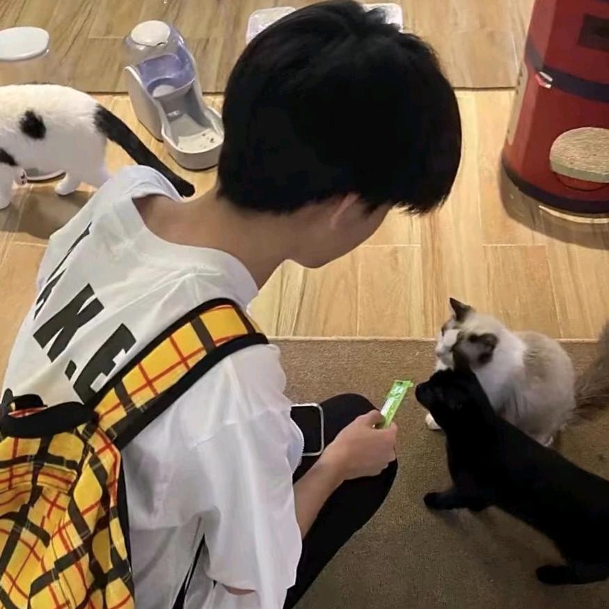 爱意牵动思绪✨✨