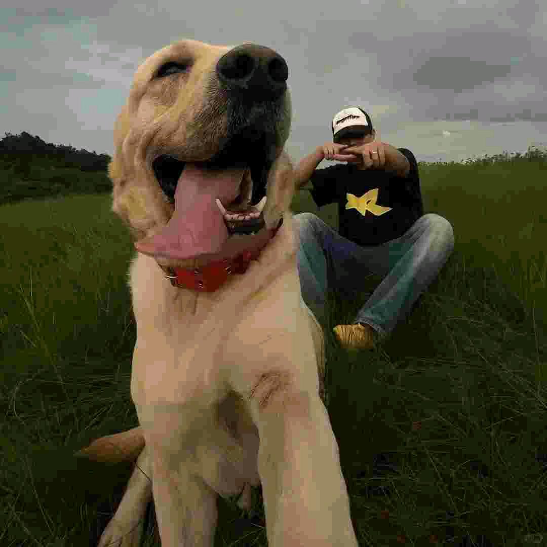 不知道改什么名字