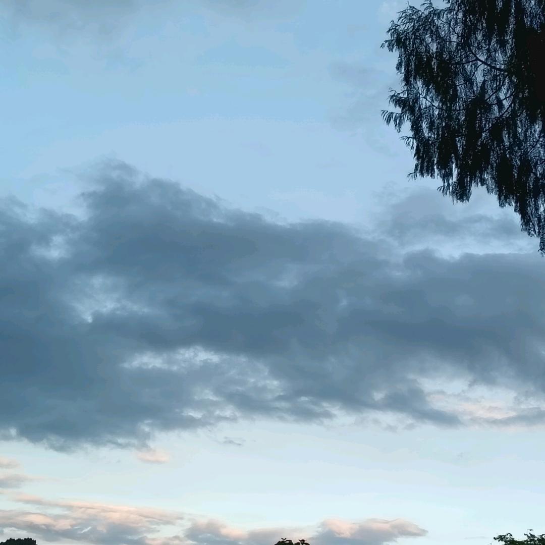 景大姐（泉）