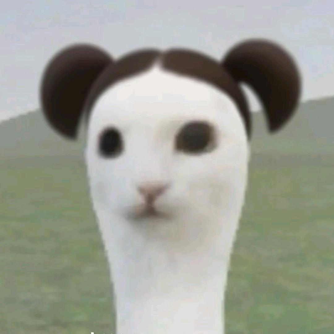 七七拆卡咯(抽象版)