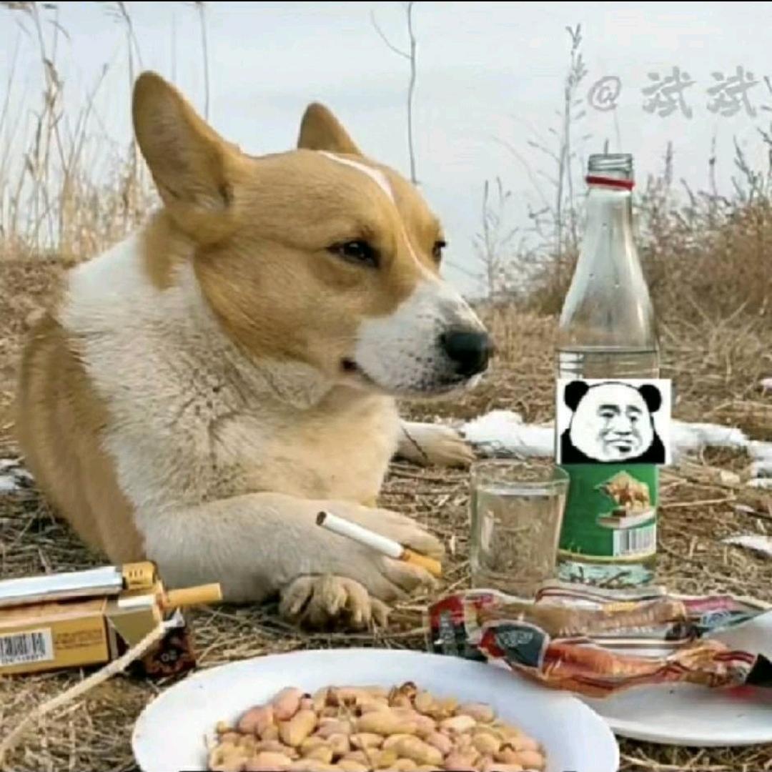 小胡弟🇨🇳