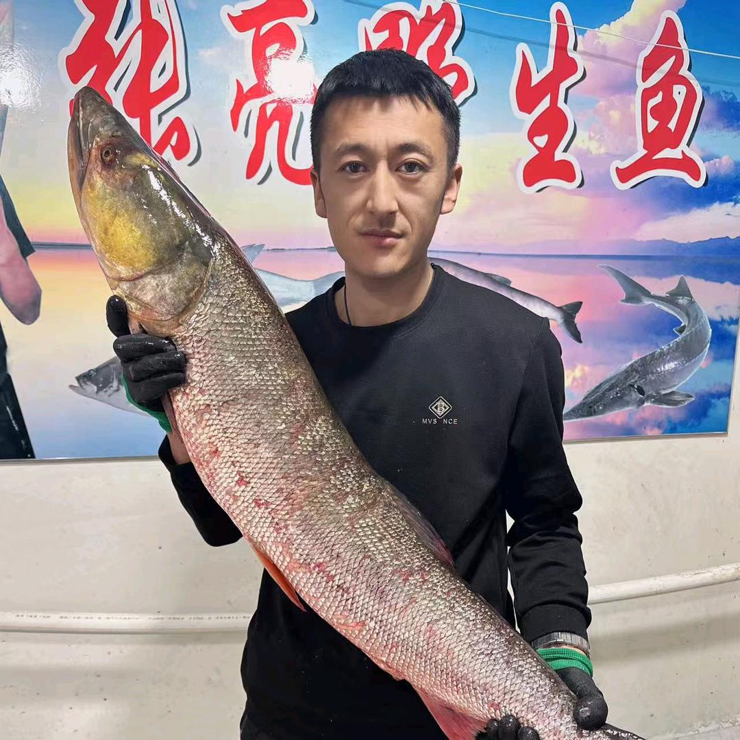 张亮野生鱼