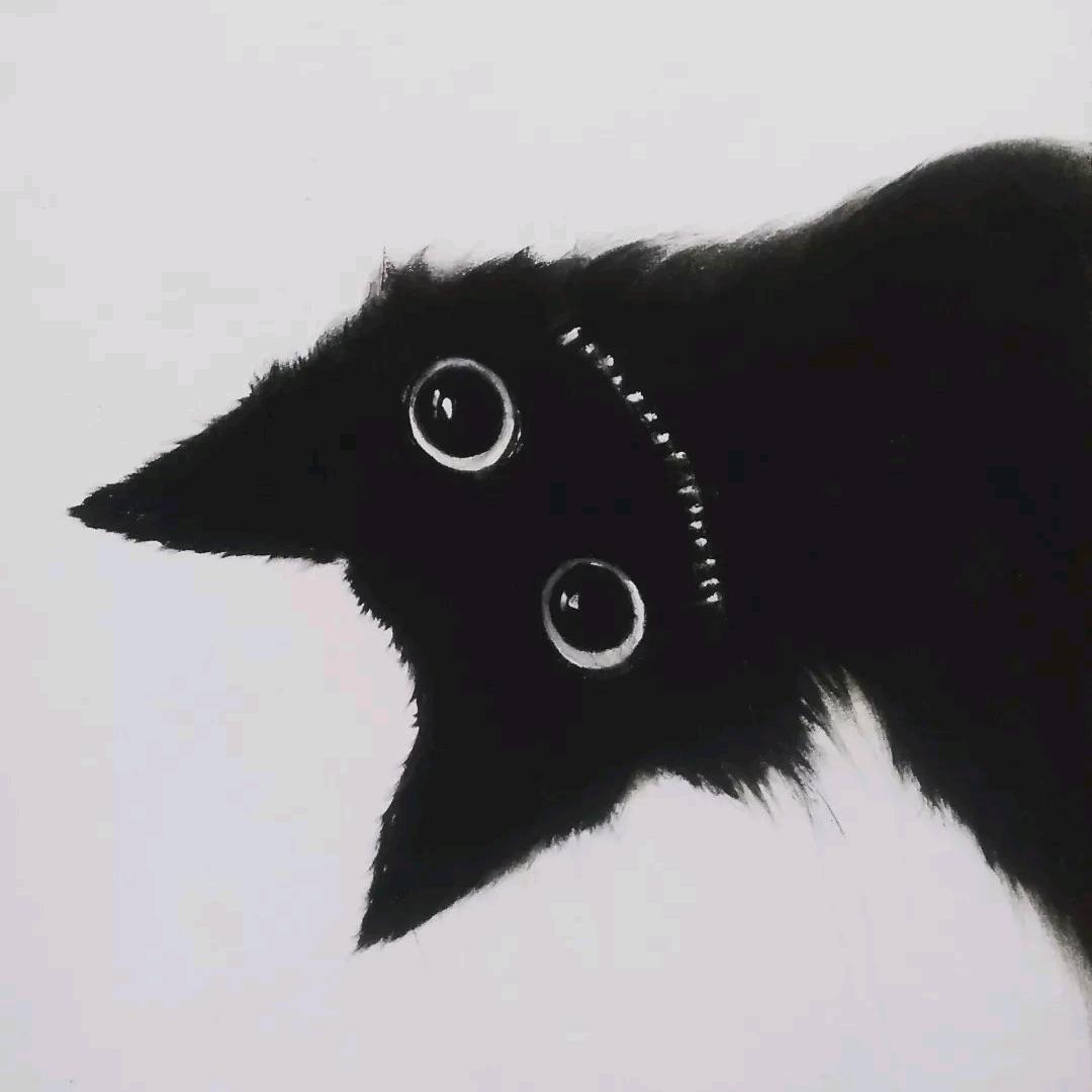 Shaw午